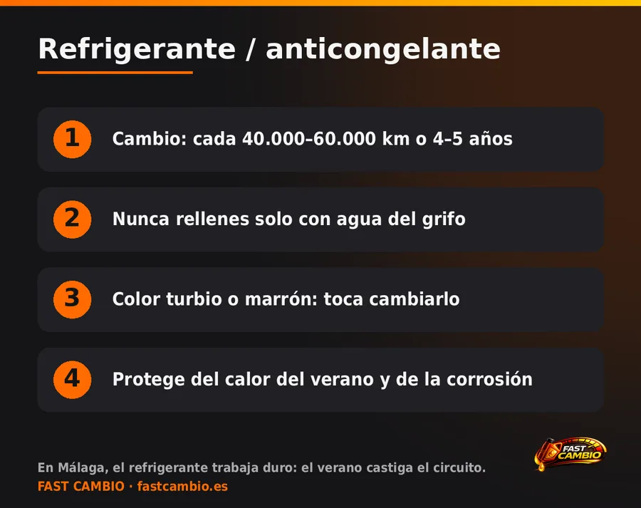 Refrigerante o anticongelante: qué es, para qué sirve y cada cuánto cambiarlo — infografía